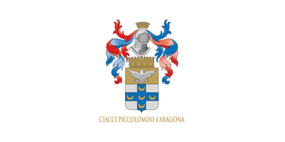 Ciacci Piccolomini Daragona vini online